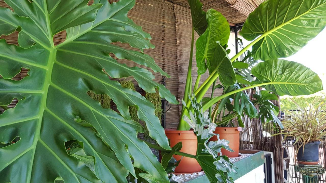 Posada Alpujarra Sol Orgiva Esterno foto